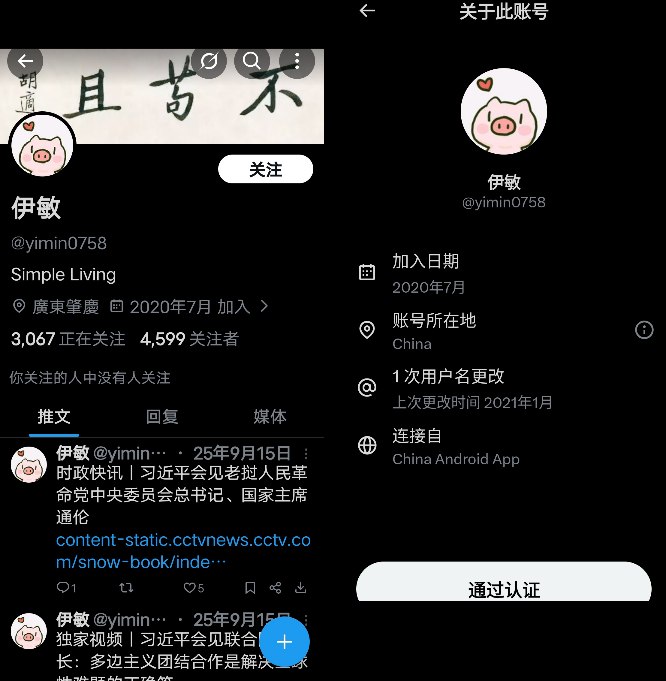 有网友发现一些网评员也会在推特上分享“记事本”链接而这些账号清一色来自于中国直连IP