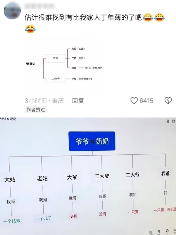 “我们是最后一代”近日，一名黑龙江网友画起自家族谱解释“为什么黑龙江不用公布出生率”：父母一代还有多名兄弟姐妹，到了90后、00后一代，却多人未婚、无子女