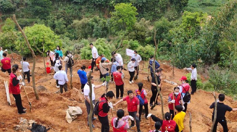 网友投稿：3月12日，广西梧州市