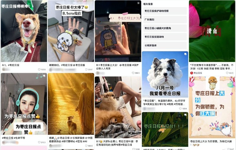 8月2日，有网友发现，此前为“旺旺”发声的地方官媒枣庄日报相关视频已经从抖音账号中消失