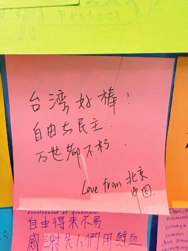 “自由与民主，万世都不朽”近日，有网友晒出台北中正纪念堂“自由花蕊”展览的一些简中游客的留言