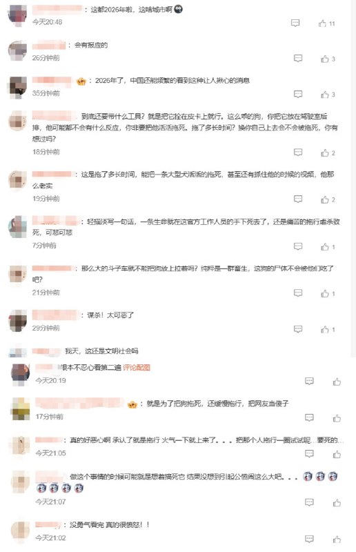 湖南江永城管执法车拖行犬只致死，官方称工作人员违规操作5月28日上午，湖南江永县城管部门接群众举报称，金龙公园有无主犬只尾随追人