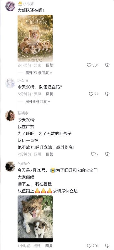 “今日我若再沉默不语，明日烈火将烧到我的头”7月19日，遭虐杀的流浪小狗“旺旺”事发地的揭阳文旅抖音号”揭阳市旅游文旅“开放评论区