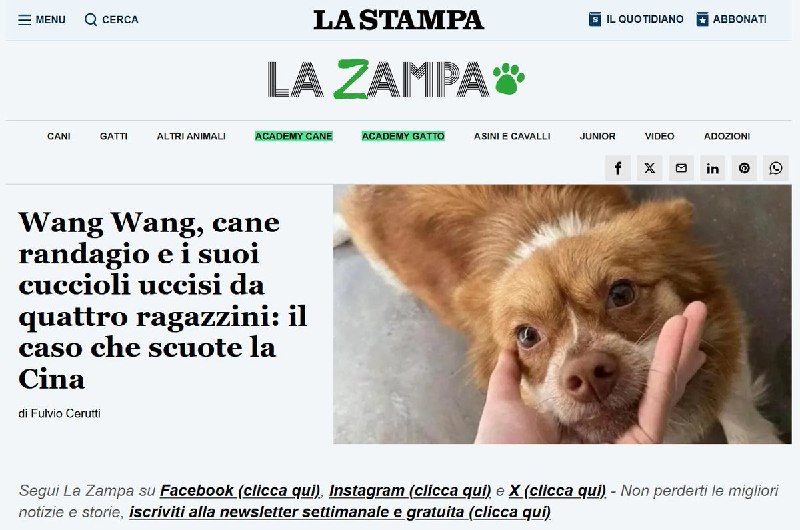 7月20日，意大利全国性主流报纸《La Stampa》（《新闻报》）报道广东揭阳流浪狗“旺旺”及三只幼犬遭四名未满14岁少年虐杀一事