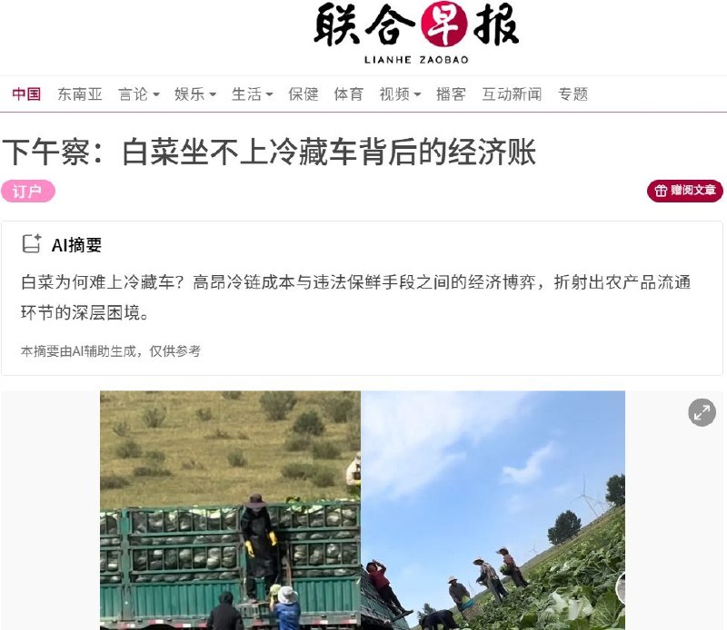 8月24日，《联合早报》刊文梳理河北张家口“甲醛白菜”背后的经济账