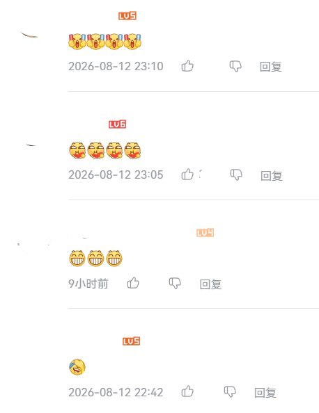 “我很想参选第三任期，但法律非常严格