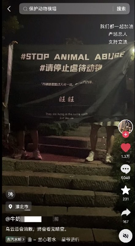 从街头到音乐节，各地的网友持续接力，声援广东揭阳遭虐杀小狗“旺旺”