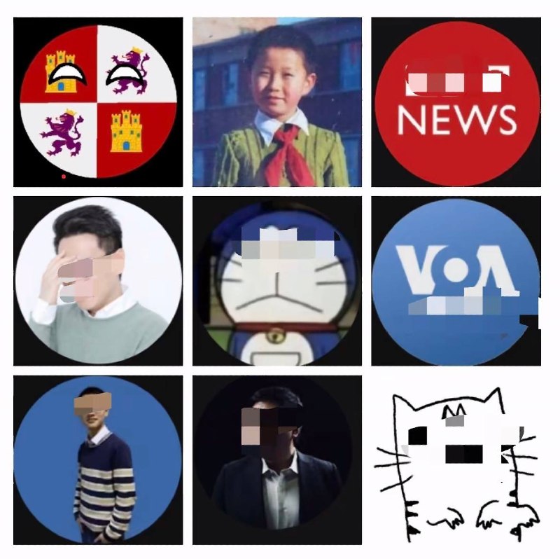 9月5日，河北一网友将多个被中国封禁媒体及自媒体标志货头像做成拼图，发布在抖音上，评论区被清空至仅剩五条评论