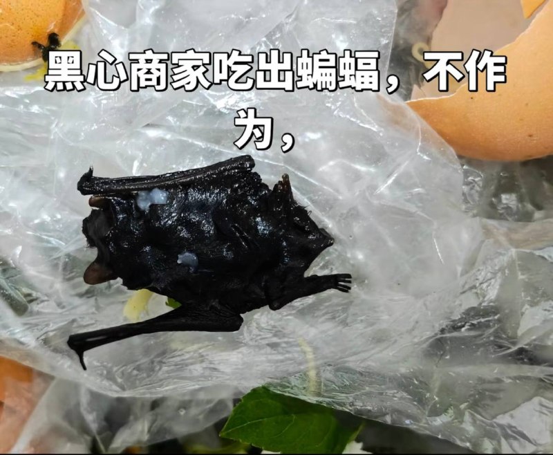 7月27日，福建宁德市蕉城区