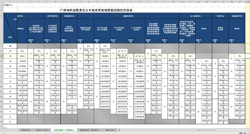 网友投稿：李老师您好，我是南方电网公司下面广西电网公司的正式员工，最近公司下发了薪酬改革的文件