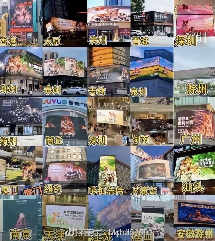 后续：全国各地的电子大屏均出现“禁止虐待动物”的公益宣传