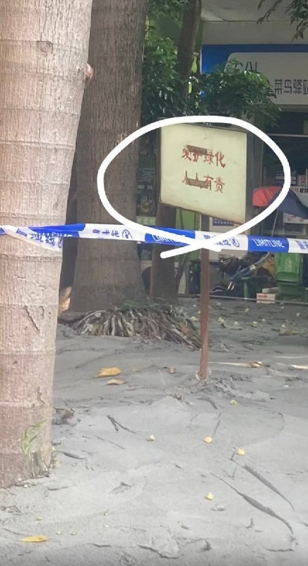 “长点脑子吧”8月15日，广州多地居民反映，在白云区、荔湾区等地，有社区为了防止积水孳生蚊虫，将绿化带及树木根部的土坑直接用水泥硬化封死，甚至连写有“爱护绿化 ，人人有责”的牌子旁也铺满了水泥