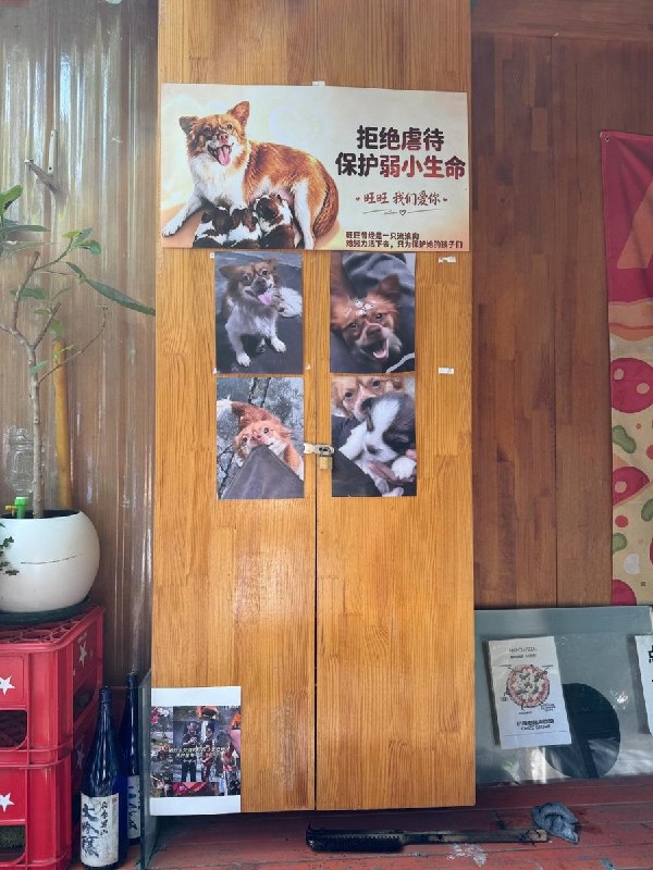 【广东揭阳小狗旺旺】大连一居酒屋张贴多语种反虐待动物海报7月29日，有网友在大连旅行时发现，一家居酒屋在店内外张贴多张反虐待动物海报，部分海报还配有与旺旺事件有关的照片