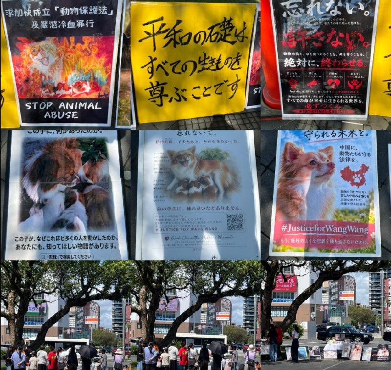 9月13日，日本宫崎民众在宫崎站西口广场举行旺旺一家追悼及动物保护宣传活动