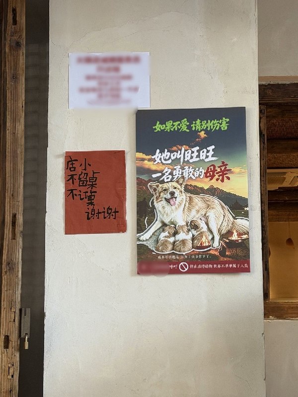 9月15日，一网友发帖称，自己到大连旅游时，在一家火锅店墙上看到纪念广东揭阳流浪犬“旺旺”的反虐待海报