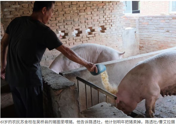 中国肉奶过剩转向低价出口，河北猪农负债7.5万美元、只剩10头猪据路透社10月15日报道，中国肉奶生产持续扩张，国内需求却未能跟上，大型企业正通过低价出口寻找销路
