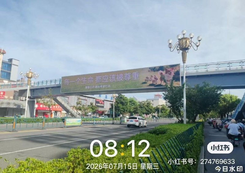 7月15日，安徽滁州一处人行天桥上出现“每一个生命都应该被尊重”公益宣传海报