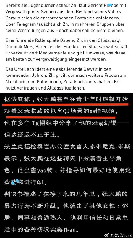 据法庭称，张大鹏甚至在青少年时期就开始观看父亲收藏的包含强奸场景的色情视频