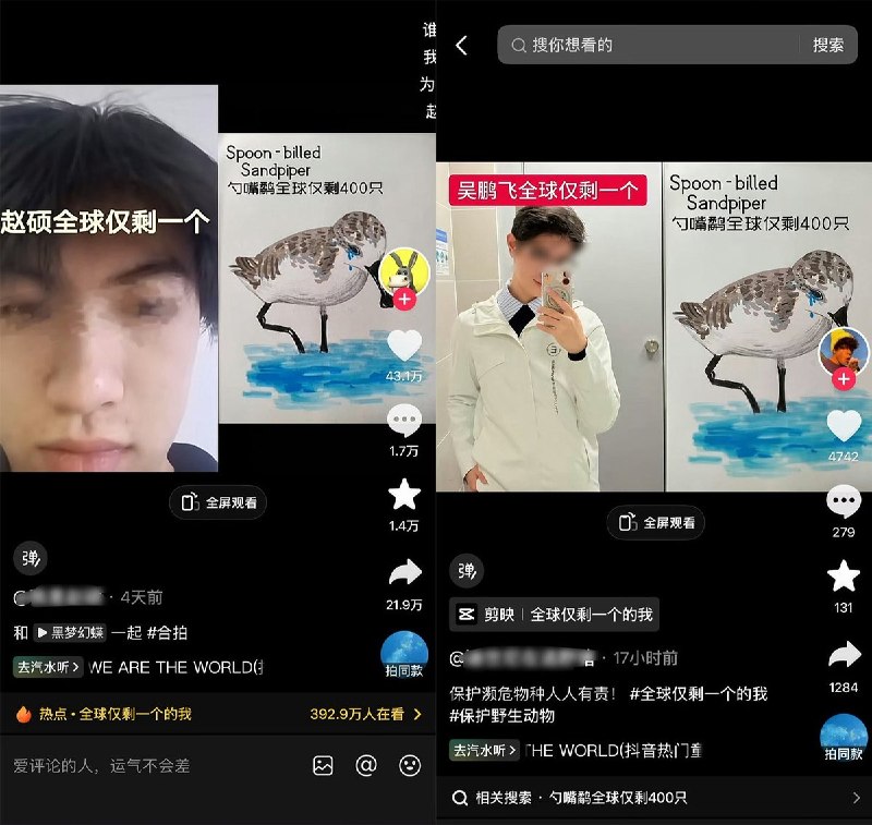 近日，广西北海市西场镇修建公路，但该公路直接穿越全国一级保护动物勺嘴鹬的栖息地，据了解，目前勺嘴鹬全球仅存约600只