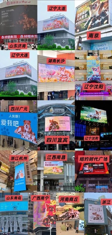 近日，广东揭阳流浪狗“旺旺”遭虐杀事件持续引发关注