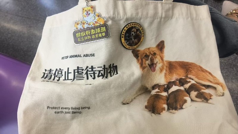 8月22日，网友发帖称，一名女子身穿声援“旺旺”的T恤、携带印有“请停止虐待动物”“STOP ANIMAL ABUSE”等字样的帆布包前往上海亚洲宠物展，入场时遭安检人员拦下，并被要求更换衣服后才能进入