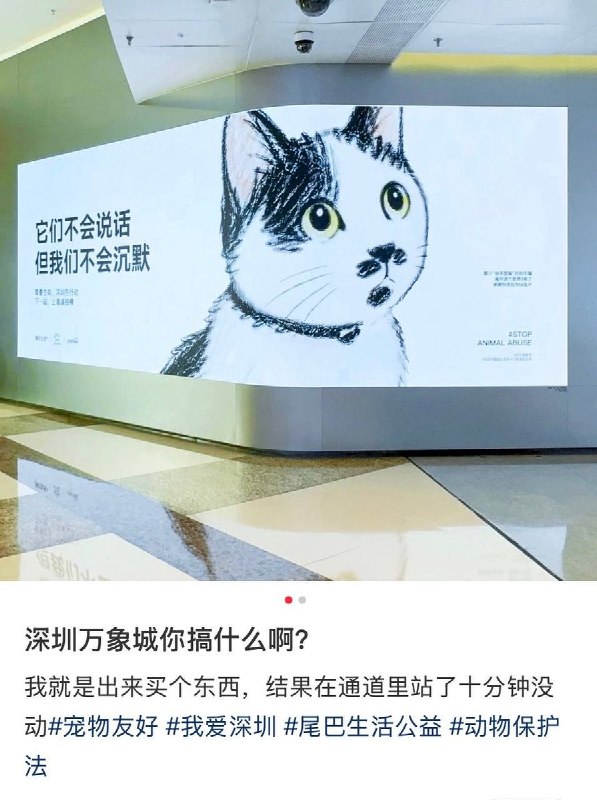 网友投稿：深圳万象城投放了一则反虐待公益广告，在小红书上短短时间就收获四千多赞