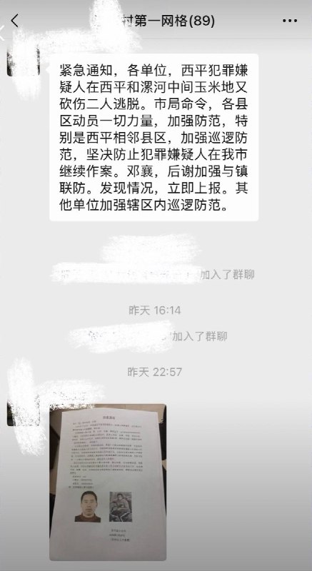 河南西平县重大刑案后续 8月8日，根据网传当地微信群紧急通知及现场视频显示，犯罪嫌疑人在西平和漯河中间的玉米地再次砍伤二人后逃脱