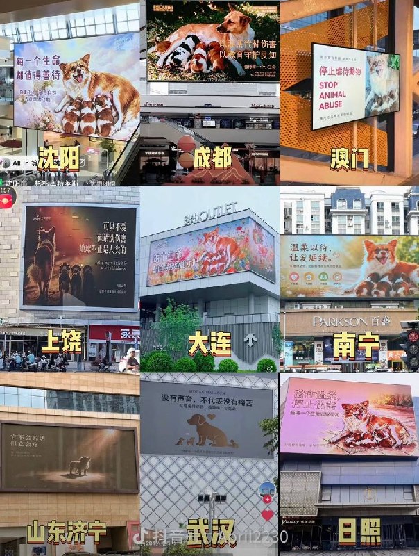 后续：全国各地的电子大屏均出现“禁止虐待动物”的公益宣传