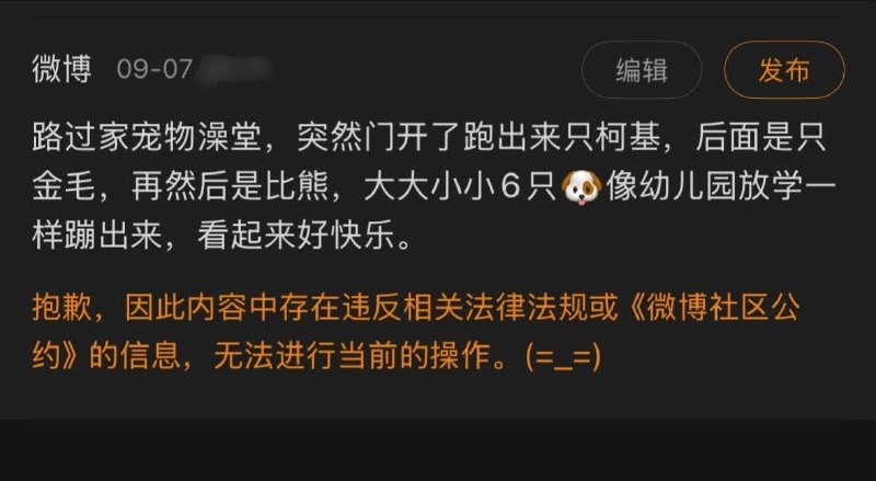 9月7日，一网友尝试在微博分享六只小狗跑出宠物澡堂的见闻，却触发违禁词，被系统提示违反“相关法律法规或《微博社区公约》，无法完成操作