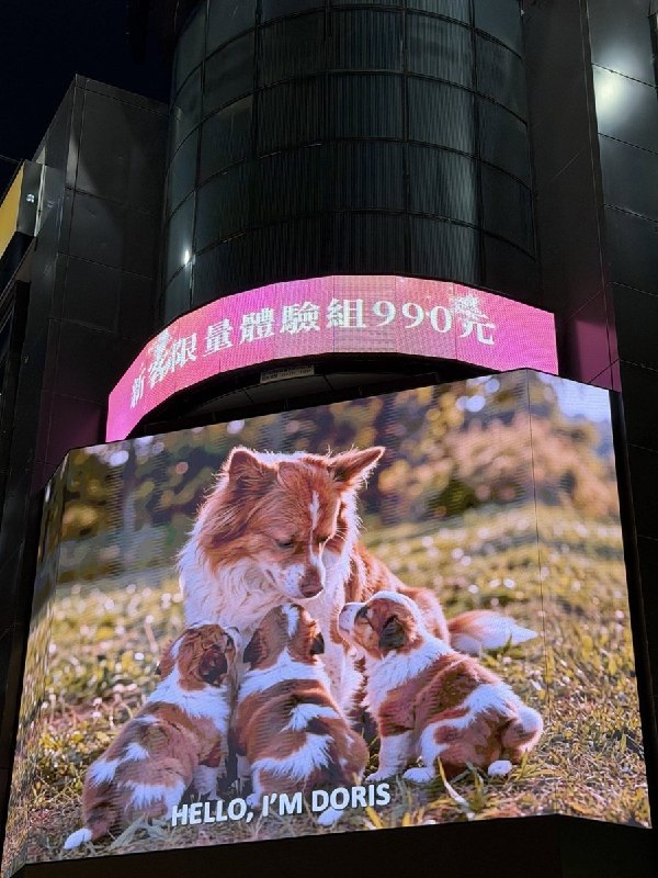 8月1日，有网友发现台北西门町大型电子屏投放反虐待动物广告，为旺旺及其他受虐动物持续发声