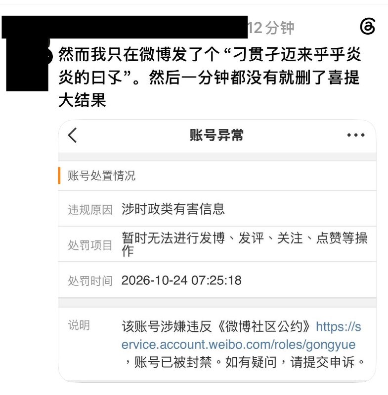习近平讳称后续：众多网友试探性的“平平淡淡的日子”温和冲塔遭到当局严酷打击