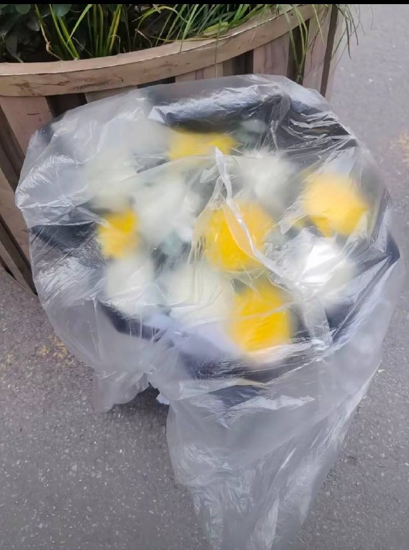 7月2日下午，西安赛格商场，尽管现场有警力驻守并劝阻送花，但仍有不少人陆续来到现场，将鲜花放置在商场附近查看原文📝 引用推文:7月2日，西安赛格小寨天桥周边目前全是警察、城管和保安