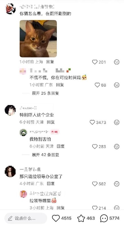 “不是不让