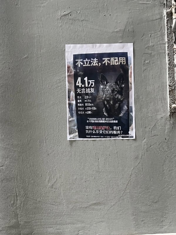 6月10日，重庆“山姆打包哥”虐狗抗议有网友去其他的城市张贴、分发宣传海报查看原文6月10日，重庆“山姆打包哥”虐狗抗议有网友去其他的城市张贴、分发宣传海报查看原文
