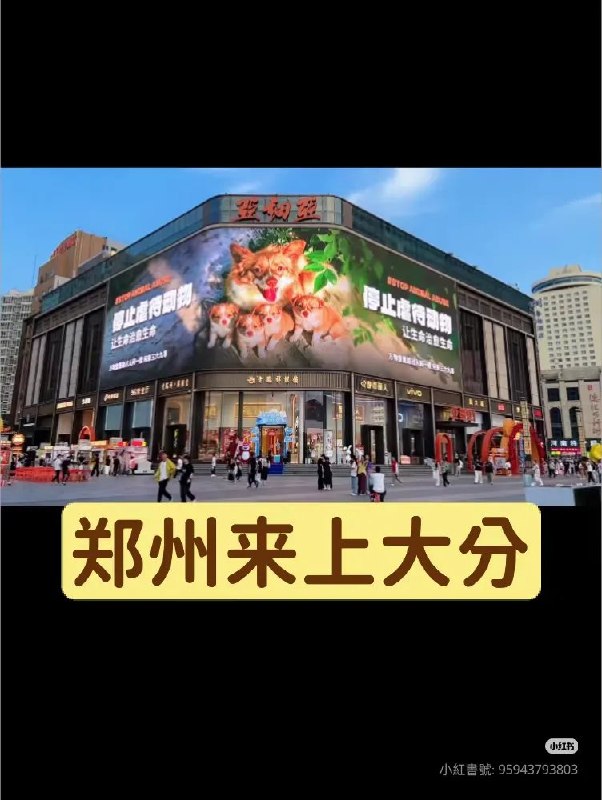 后续：江苏泰州凤城悦天地、河南郑州多处商场大屏也出现“禁止虐待动物”等公益宣传内容