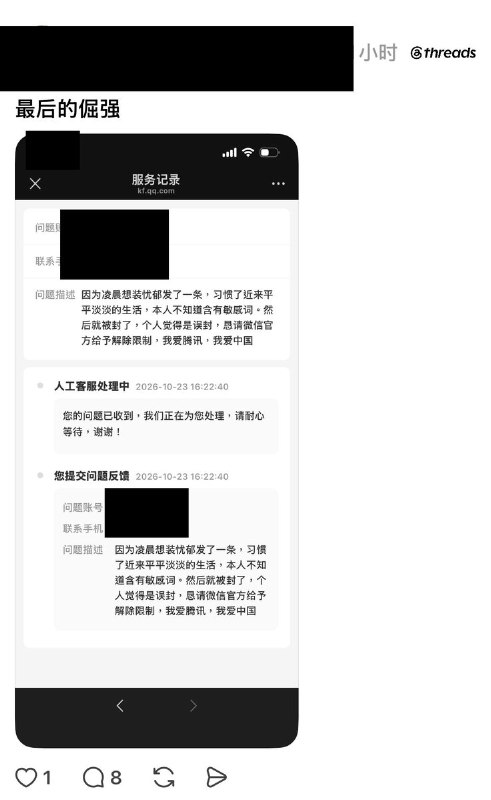 习近平讳称后续：众多网友试探性的“平平淡淡的日子”温和冲塔遭到当局严酷打击