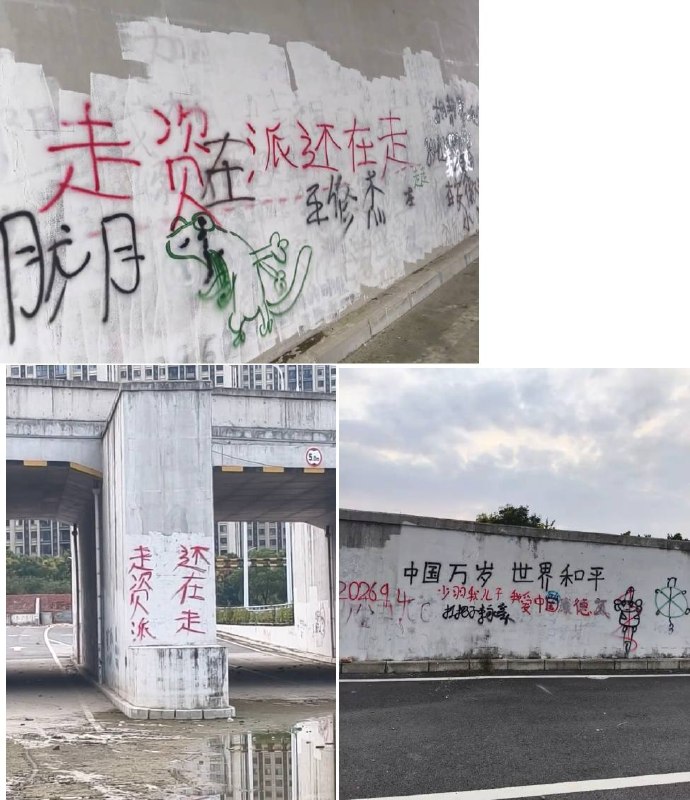 9月12日，据网友反映，安徽阜阳和平公园一角有大量文字涂鸦，其中包括“中国万岁世界和平”、“走资派还在走”、“工人阶级必须领导一切”、“千万不能忘记阶级斗争”等极具时代色彩的历史标语