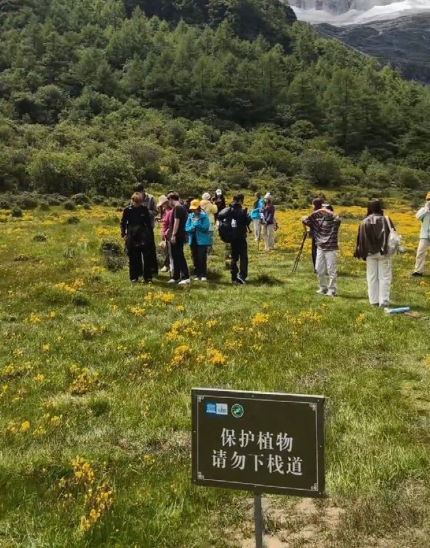 8月21日，四川稻城亚丁景区内，有网友拍到，大量游客无视“保护植物，请勿下栈道”的告示牌，跨过围栏踩踏高山草甸拍摄照片