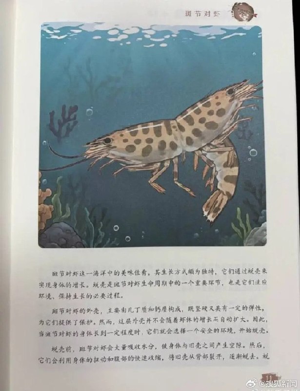 科普书封面现“双头虾”被召回，此前刚进“全国优秀”公示名单近日，中国农业出版社出版的《南海海洋生物科普丛书》，被读者指出封面和内页出现“双头虾”配图