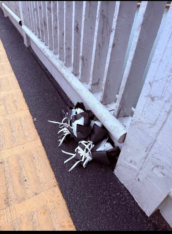 3月17日，橘子洲大桥