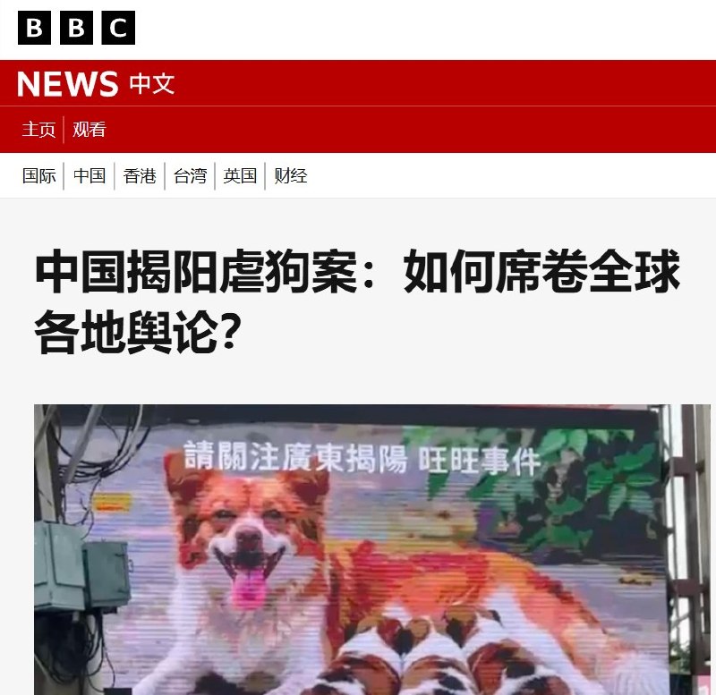 【揭阳虐狗事件】7月19日，BBC报道揭阳虐狗“旺旺”事件