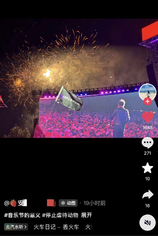 从街头到音乐节，各地的网友持续接力，声援广东揭阳遭虐杀小狗“旺旺”