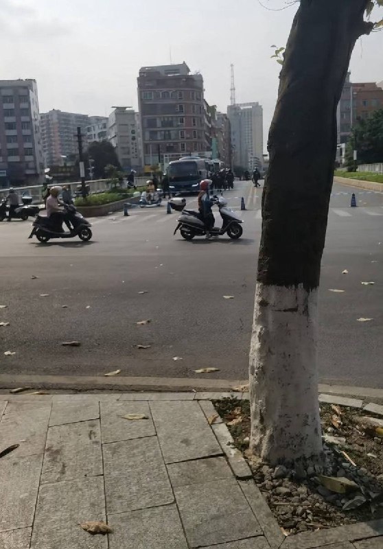 今天的广东信宜火葬场公示的最后一天