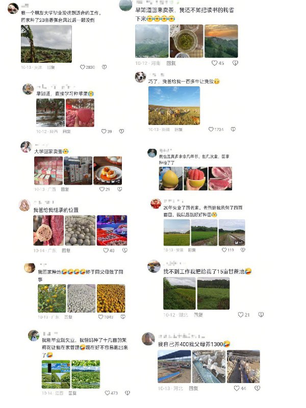 近日，河北，一名大学毕业生在视频中分享了自己的日常