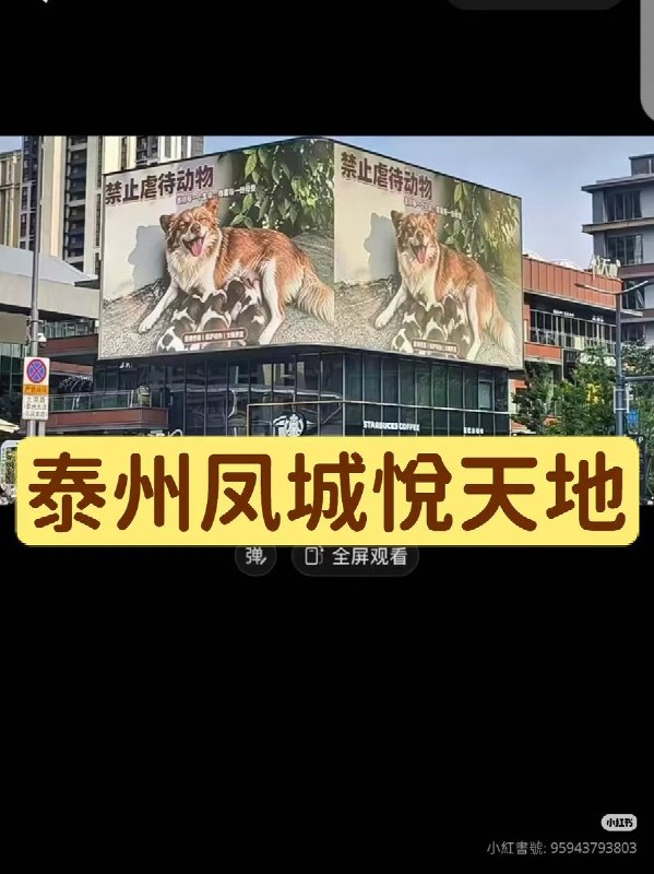 后续：江苏泰州凤城悦天地、河南郑州多处商场大屏也出现“禁止虐待动物”等公益宣传内容