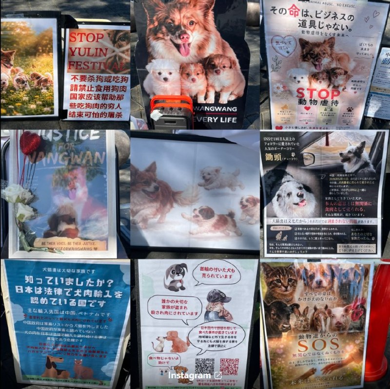 9月13日，日本宫崎民众在宫崎站西口广场举行旺旺一家追悼及动物保护宣传活动