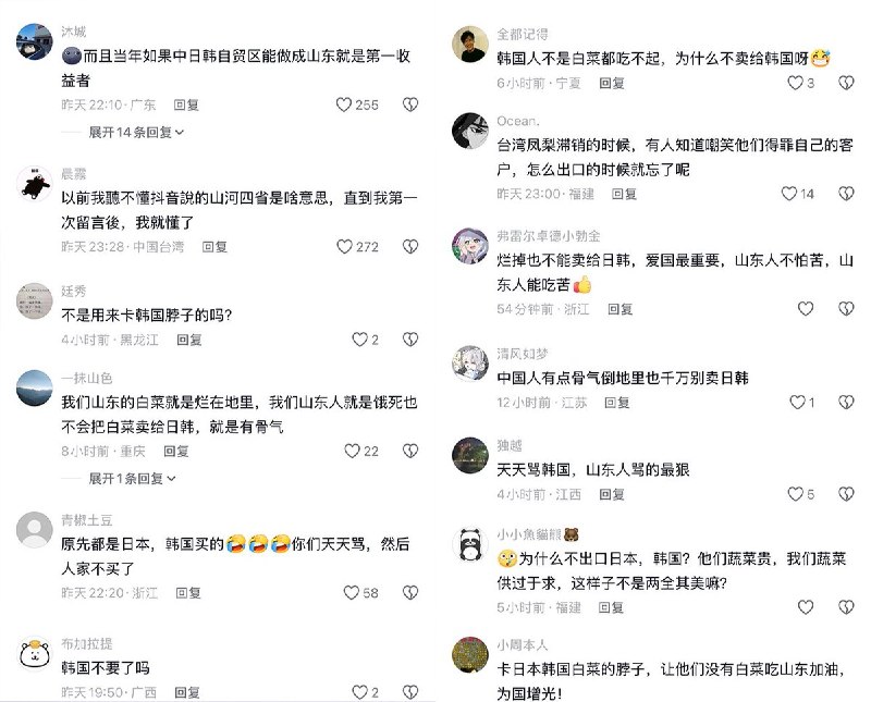 近日，山东大白菜滞销，两毛钱一颗都卖不出去，有些农户只能眼睁睁看着白菜全部烂在地里，或者将其免费送人，因为白菜的采摘成本已经远远高于市场上能卖出去的价格