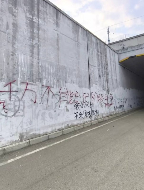 9月12日，据网友反映，安徽阜阳和平公园一角有大量文字涂鸦，其中包括“中国万岁世界和平”、“走资派还在走”、“工人阶级必须领导一切”、“千万不能忘记阶级斗争”等极具时代色彩的历史标语