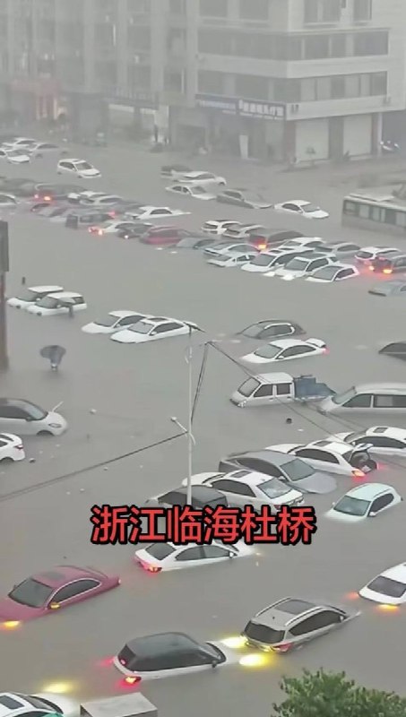 8月10日，台风“白海豚”登陆浙江，临海网友抱怨官方只注重宣传古城防洪，不顾及城外居民的受灾情况