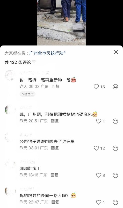 8月初，广州推行全市灭蚊行动期间，在绿化带上浇筑了混凝土